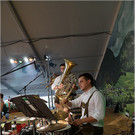 Fotos - Umzug Musikfest Au