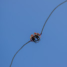 DSC02241.jpg