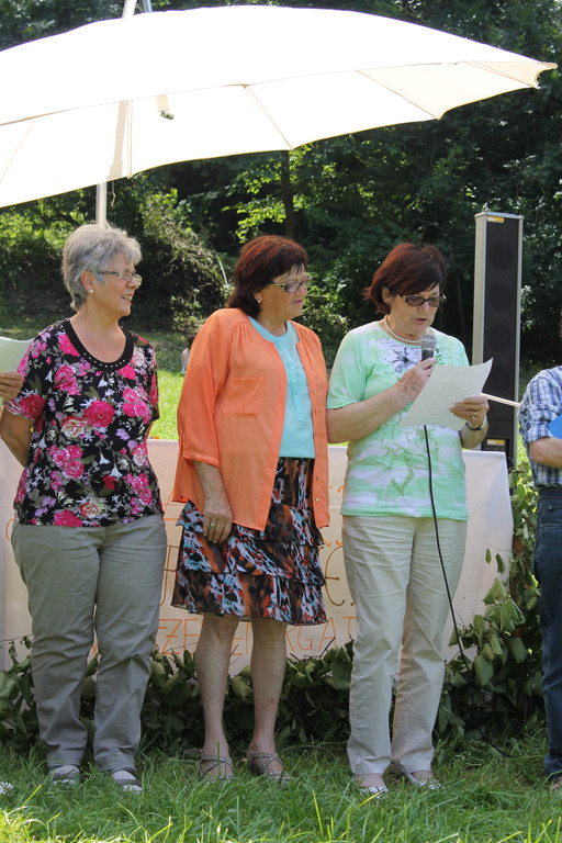 Wiesle 2013 019_JPG-1373830550
