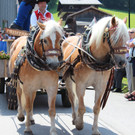IMG_6038_JPG-1373870211