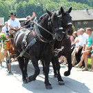 IMG_6054_JPG-1373870359