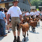 IMG_6211_JPG-1373871543
