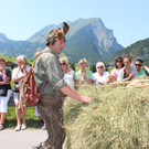 IMG_6268_JPG-1373871879