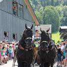 IMG_6375_JPG-1373872625