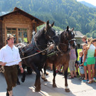 IMG_6417_JPG-1373872911