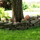 DSC01536.JPG