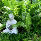 DSC01537.JPG