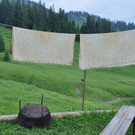 alpe5_jpg-1373885925