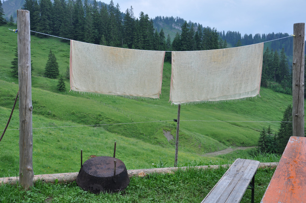 alpe5_jpg-1373885925