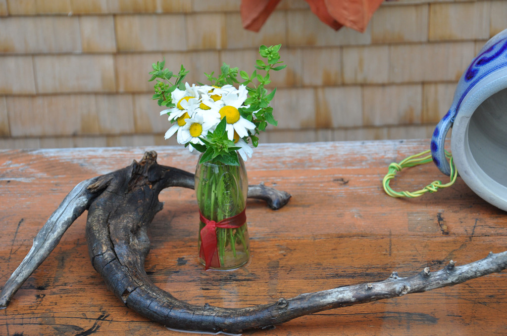 alpe26_jpg-1373885983