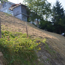 image3_JPG-1373890123