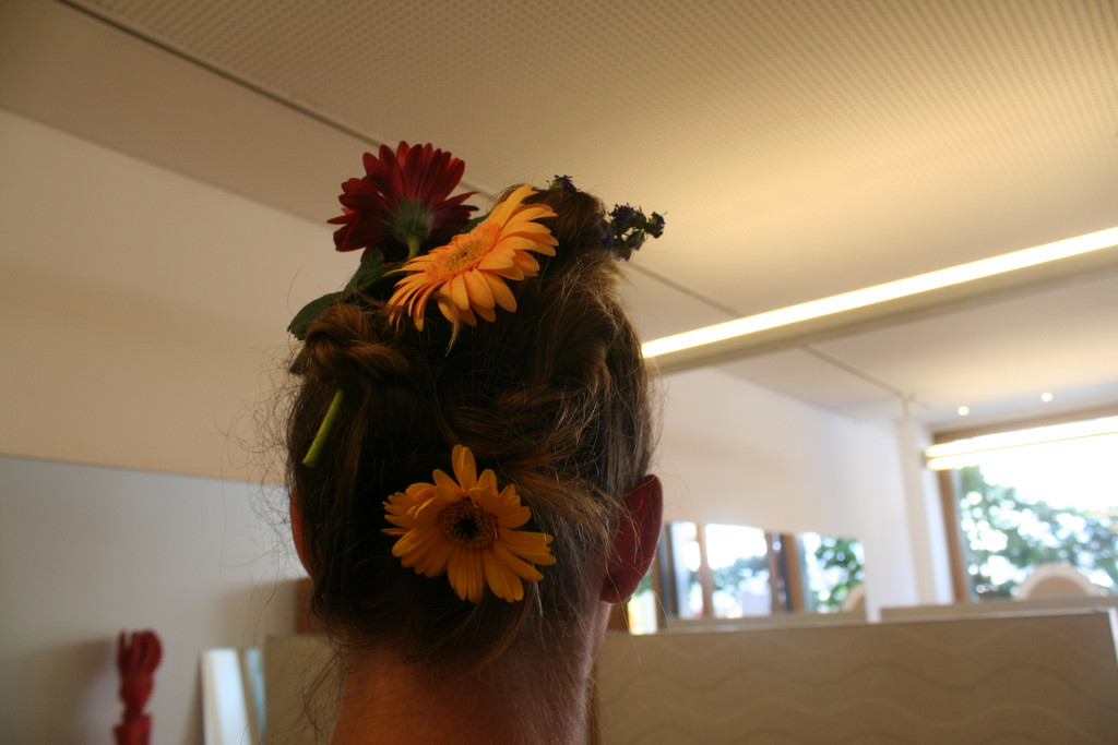 IMG_0062_JPG-1373892955