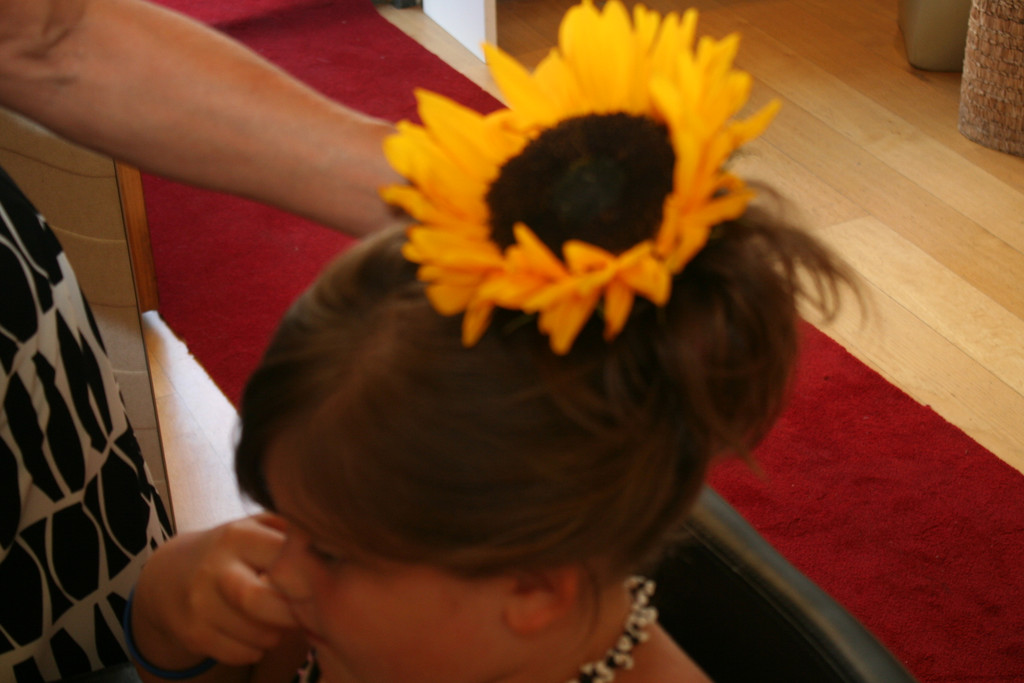 IMG_0158_JPG-1373893145