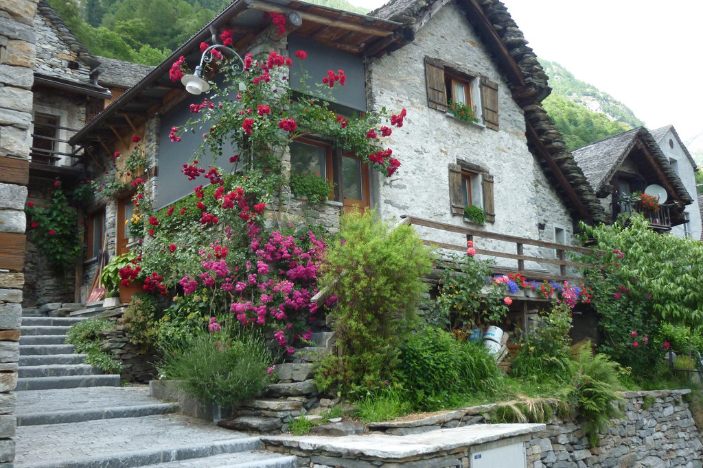 P1020326.JPG