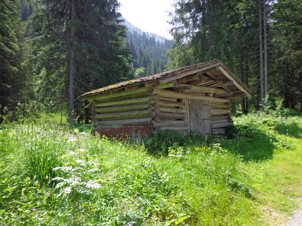 Alpe Melk__de 14_7_2013 _44__JPG-1373919392