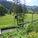 Alpe Melk__de 14_7_2013 _60__JPG-1373919437