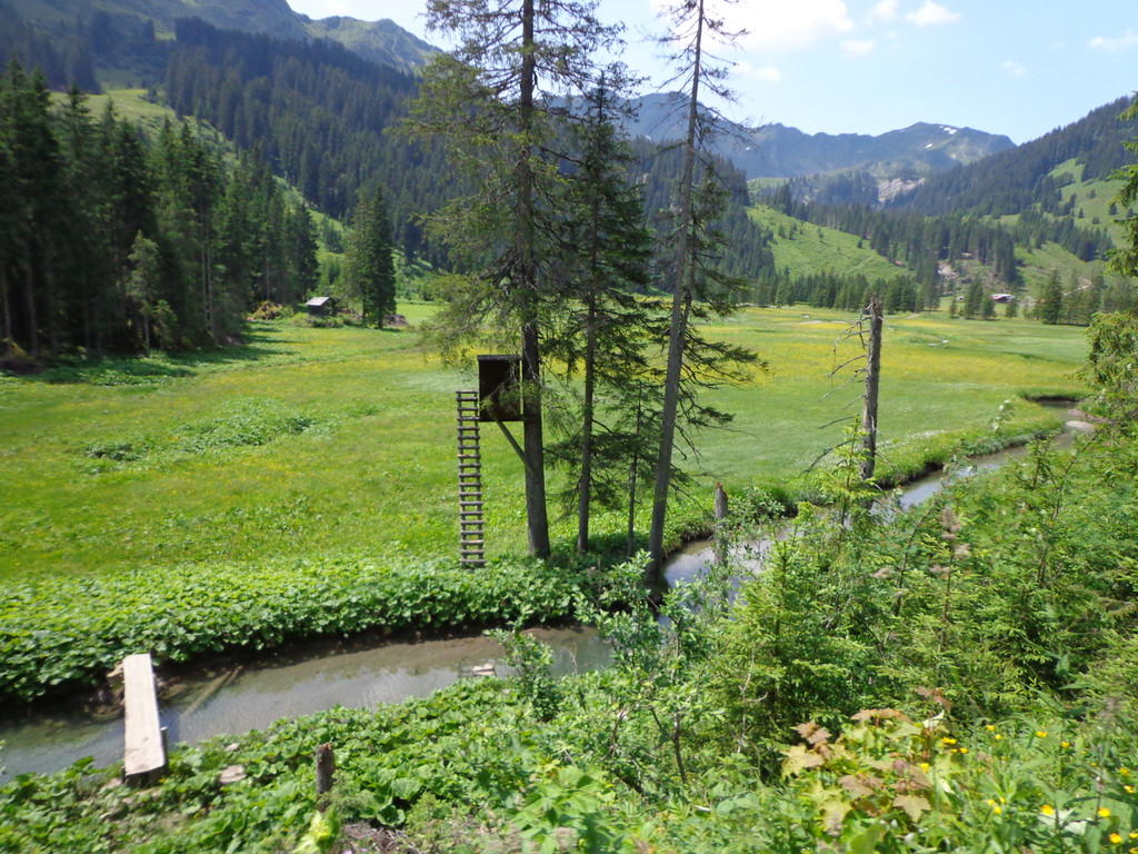 Alpe Melk__de 14_7_2013 _60__JPG-1373919437