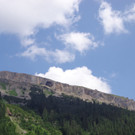 Alpe Melk__de 14_7_2013 _73__JPG-1373919480