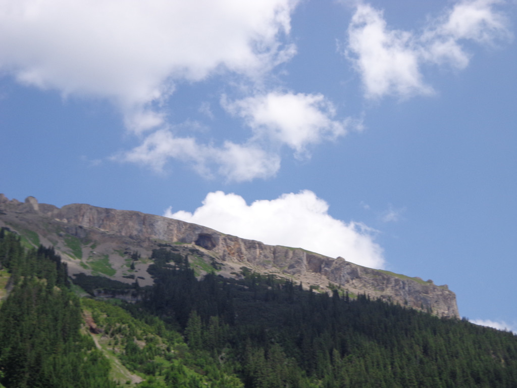Alpe Melk__de 14_7_2013 _73__JPG-1373919480