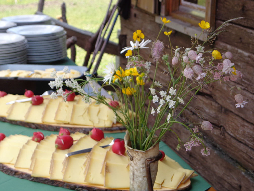 Alpe Melk__de 14_7_2013 _95__JPG-1373919778