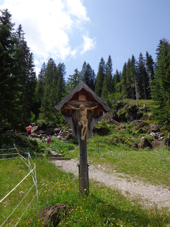 Alpe Melk__de 14_7_2013 _111__JPG-1373919913