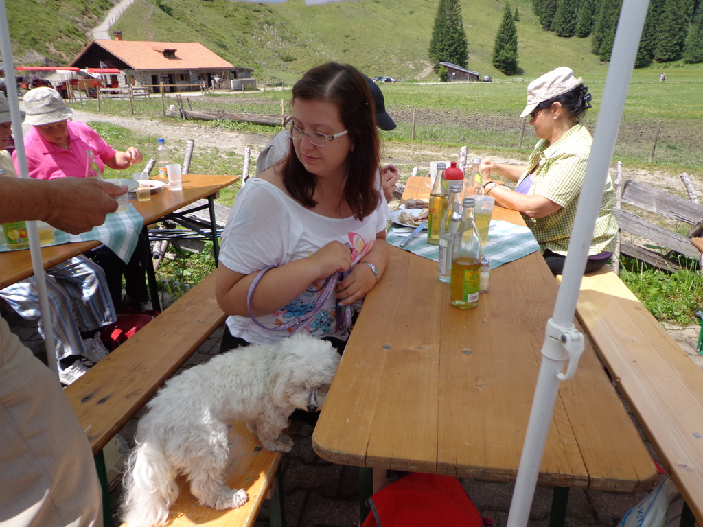 Alpe Melk__de 14_7_2013 _124__JPG-1373920042