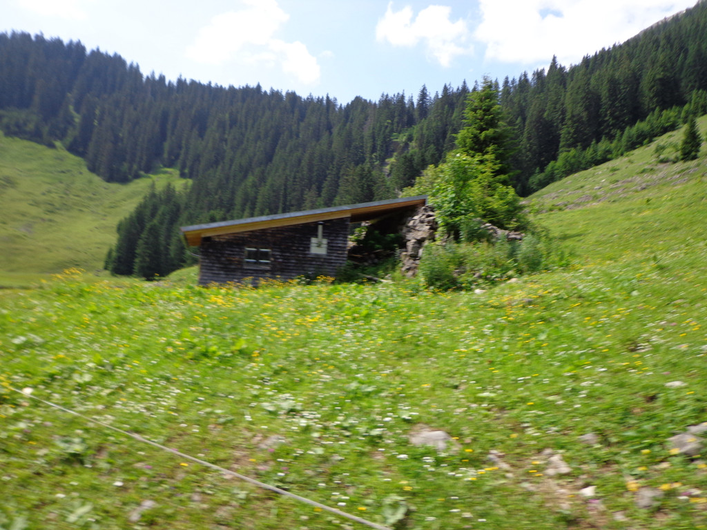 Alpe Melk__de 14_7_2013 _150__JPG-1373920290