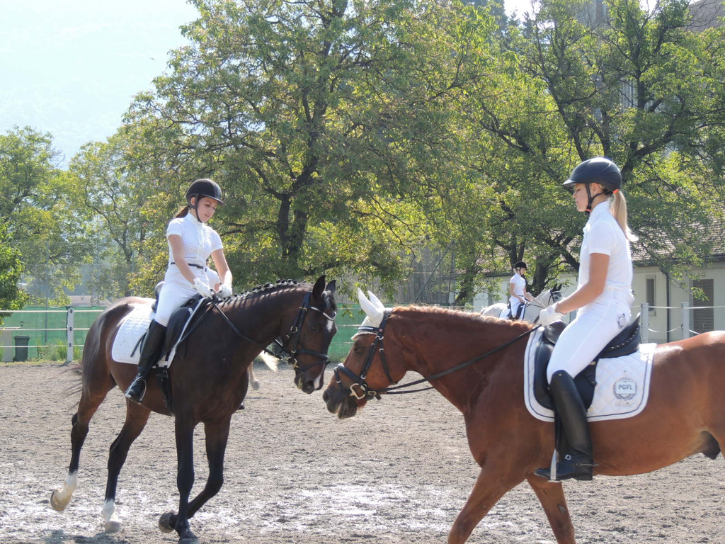 DSCN4179_JPG-1373979574