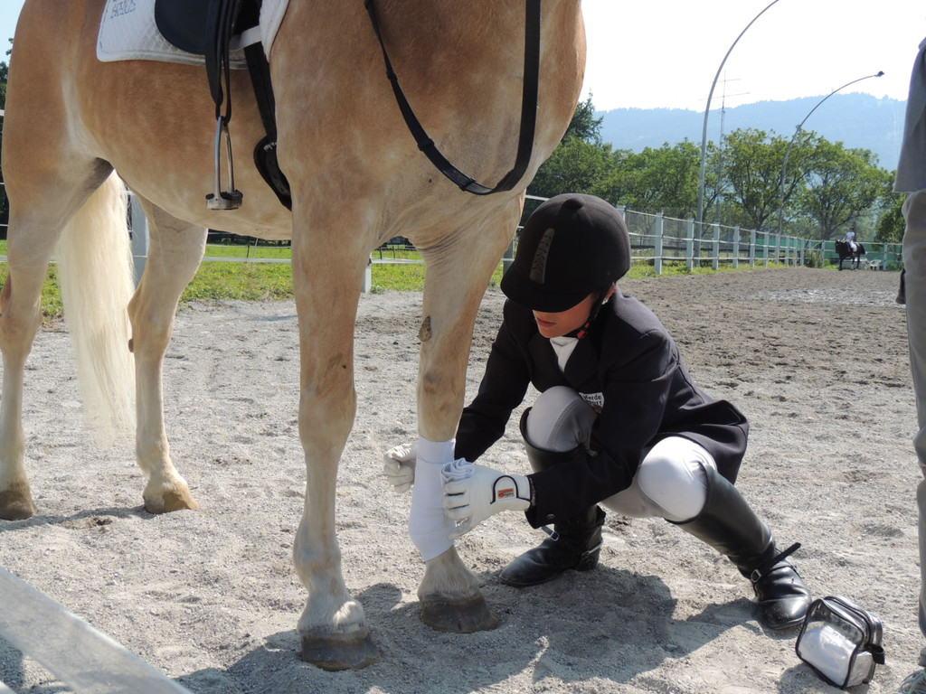 DSCN4202_JPG-1373979597