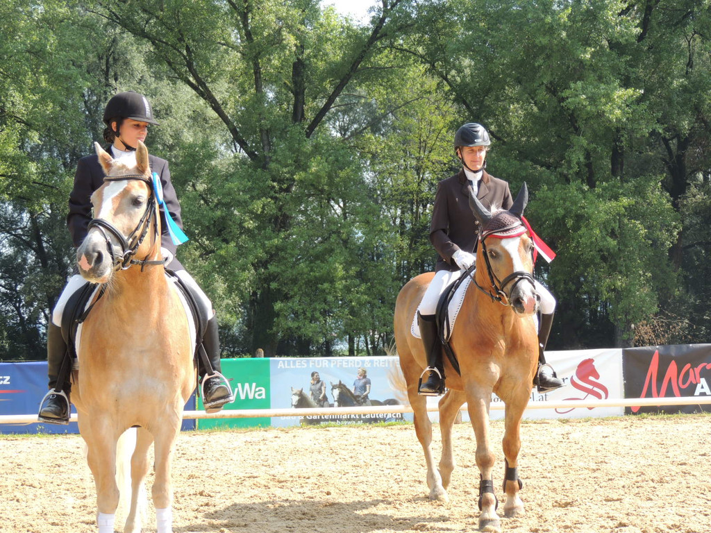 DSCN4237_JPG-1373979610