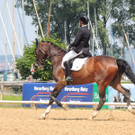 DSCN4908_JPG-1373979615