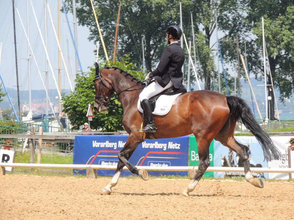 DSCN4908_JPG-1373979615