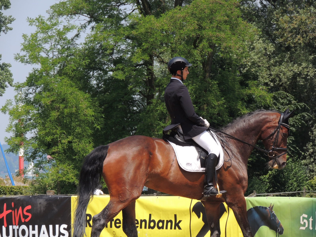 DSCN4910_JPG-1373979619