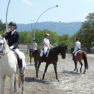 DSCN4923_JPG-1373979623