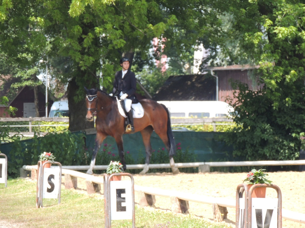 DSCN4927_JPG-1373979627