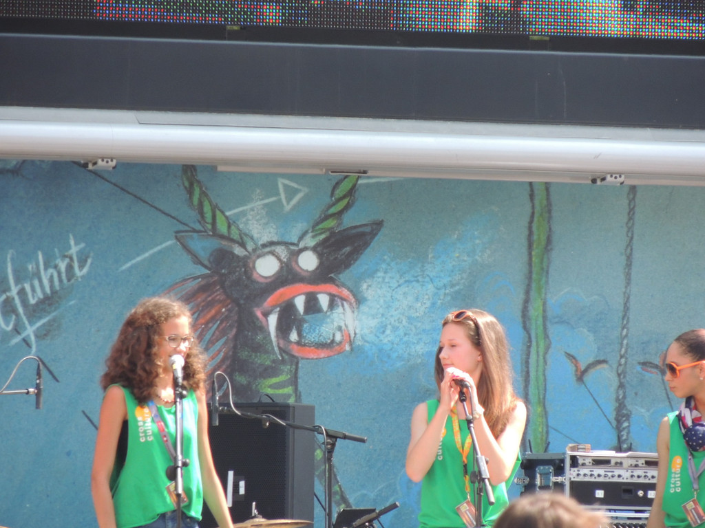 DSCN4708_JPG-1373984335