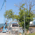 DSCN4969_JPG-1373988151