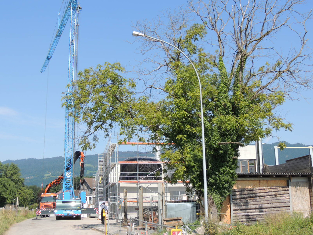 DSCN4969_JPG-1373988151