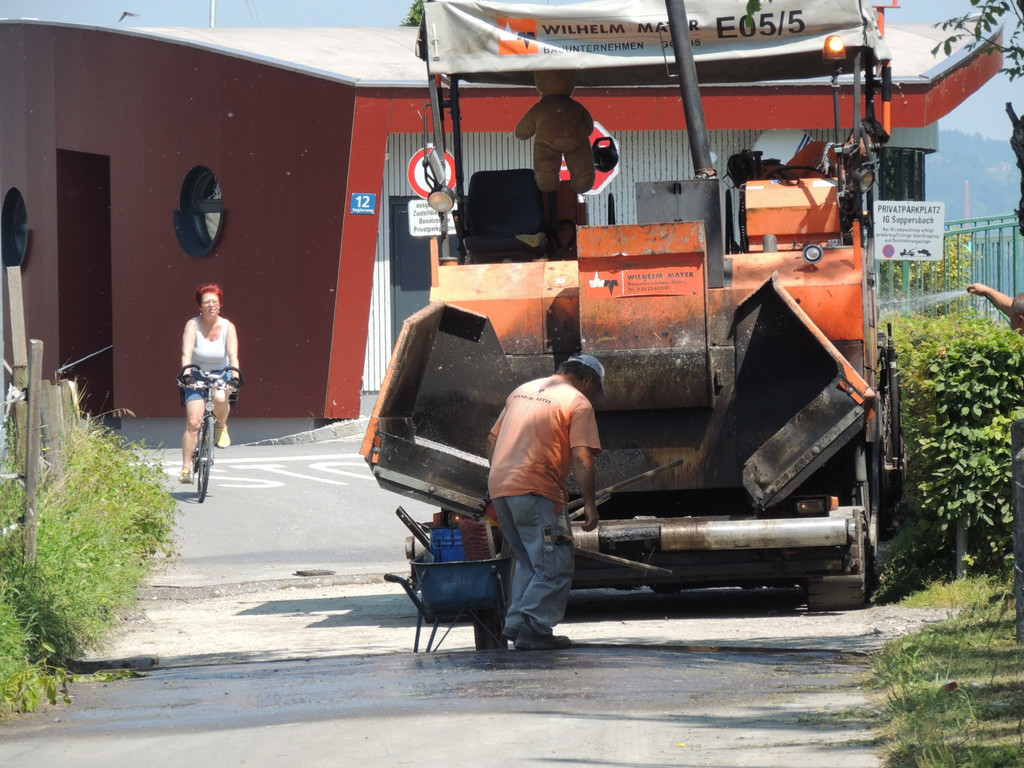 DSCN5387_JPG-1373989439