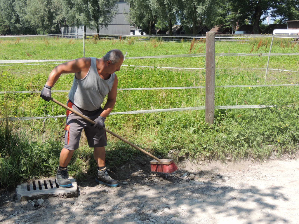 DSCN5395_JPG-1373989456