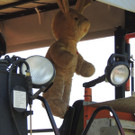 DSCN5398_JPG-1373989461