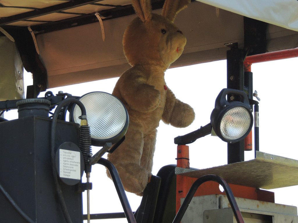 DSCN5398_JPG-1373989461