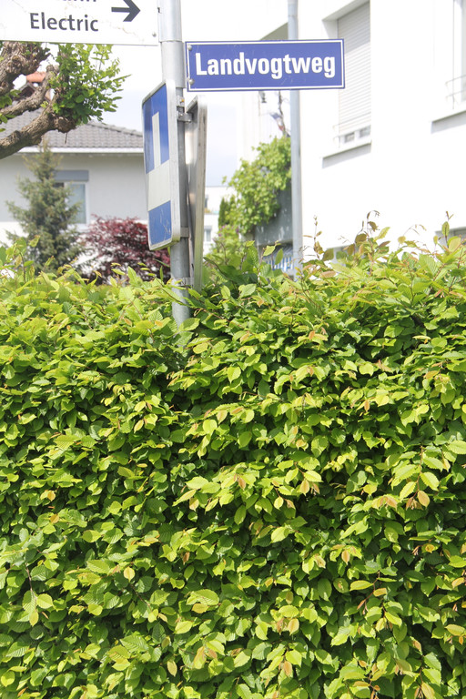 Landvogtweg_1_jpg-1373994652