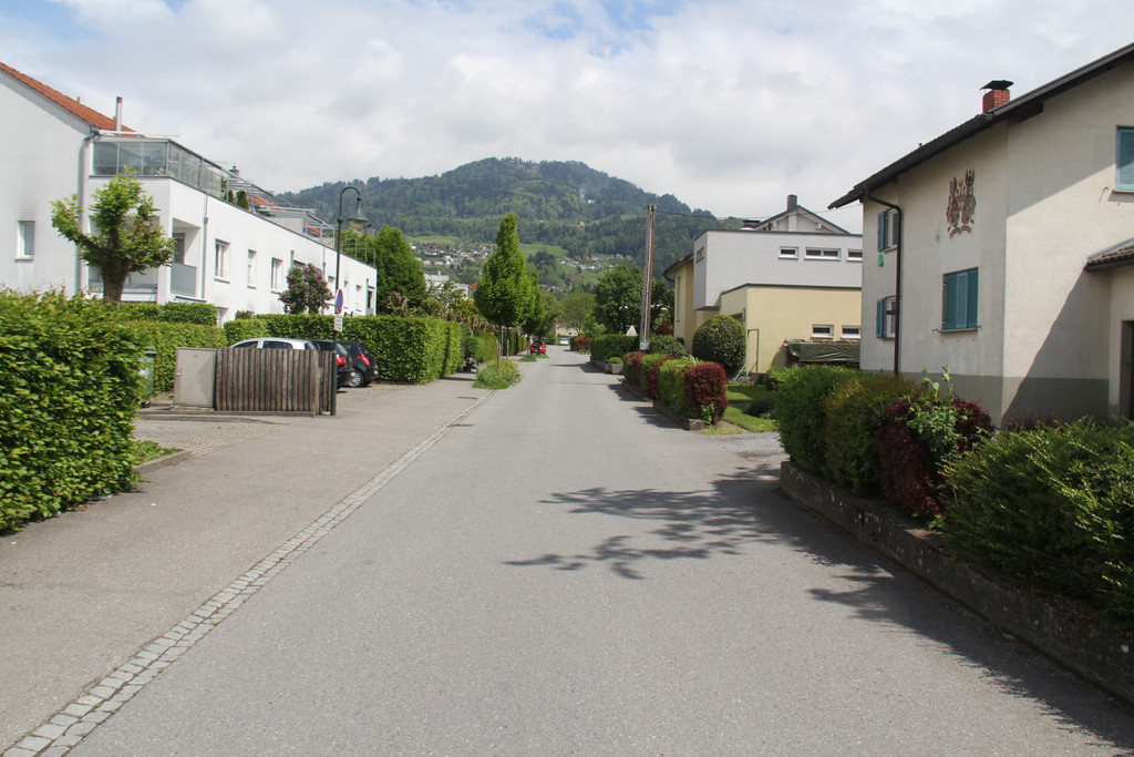 Landvogtweg_2_JPG-1373994656
