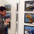 fotowettbewerb_2799_jpg-1374019592