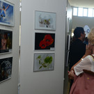 fotowettbewerb_2795_jpg-1374019528