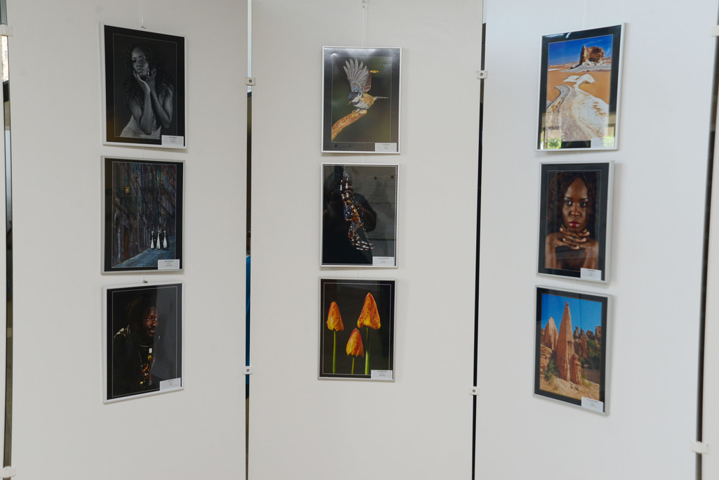 fotowettbewerb_2797_jpg-1374019545