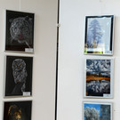 fotowettbewerb_2798_jpg-1374019566