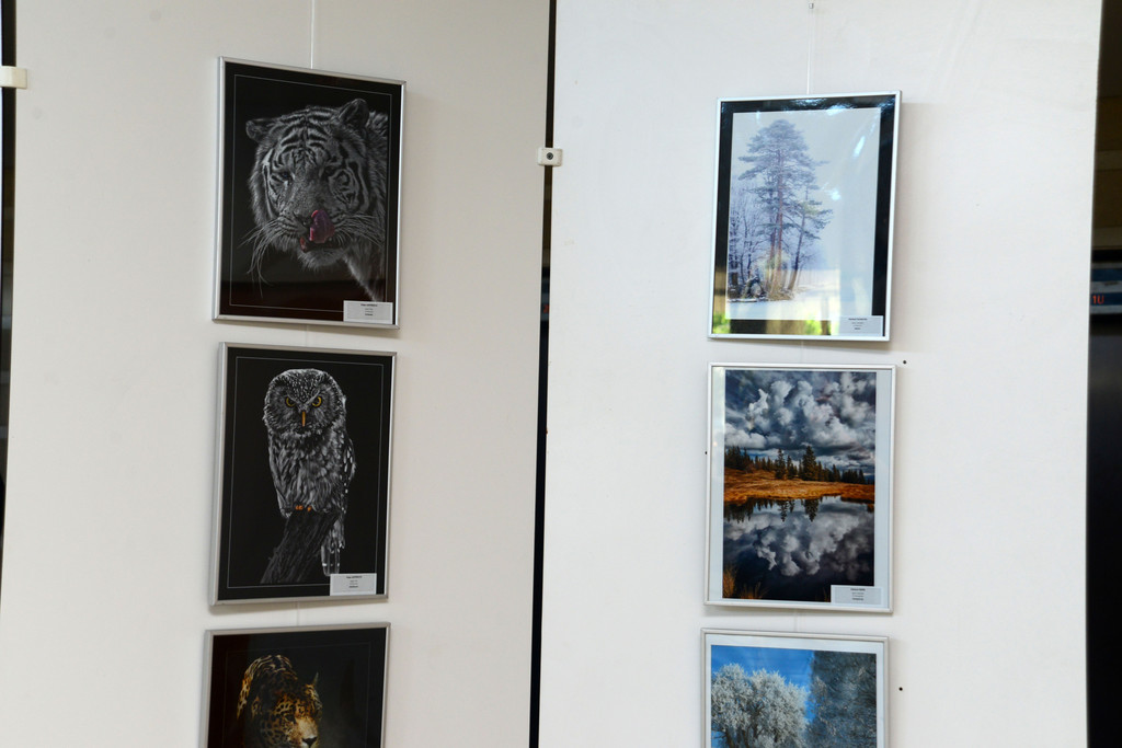 fotowettbewerb_2798_jpg-1374019566