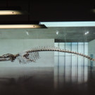 DSCN4409_JPG-1374050044